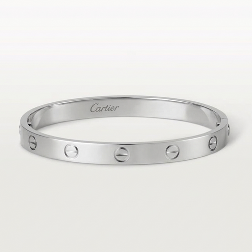 Cartier LOVE bracelet silver
